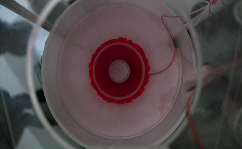 geostrophic adjustment